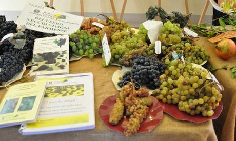 2011-4 Riscoprire i Frutti Antichi al Castello di Paderna