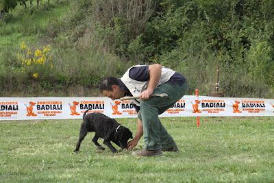 il tartufo, lo trova il cane