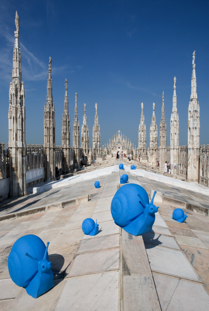 Avvistate 50 chiocciole azzurre fra guglie del Duomo