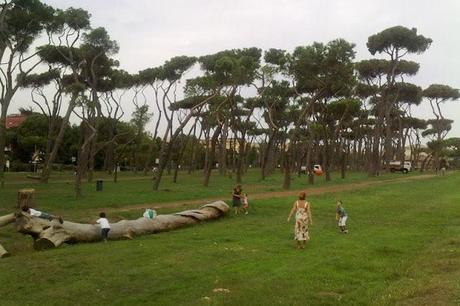 Le immagini e il report della nona edizione del Decoro Day nel XVIII Municipio. Tra impegno civico e progetti di recupero, il Parco del Pineto deve tornare a vivere. Le immagini e il report della nona edizione del Decoro Day nel XVIII Municipio. Tra impegno civico e progetti di recupero, il Parco del Pineto deve tornare a vivere.