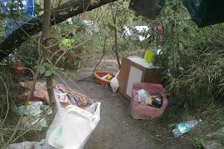 Le immagini e il report della nona edizione del Decoro Day nel XVIII Municipio. Tra impegno civico e progetti di recupero, il Parco del Pineto deve tornare a vivere. Le immagini e il report della nona edizione del Decoro Day nel XVIII Municipio. Tra impegno civico e progetti di recupero, il Parco del Pineto deve tornare a vivere.