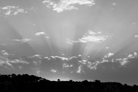 Scatti in bianco nero: digitale o analogico Scatti in bianco nero: digitale o analogico