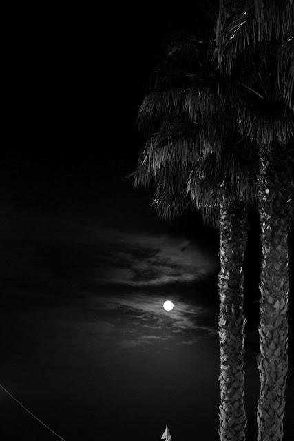 Scatti in bianco nero: digitale o analogico Scatti in bianco nero: digitale o analogico