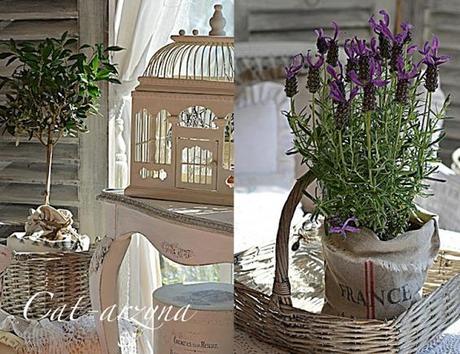 mmcat-arzyna.blogsp2 mmcat-arzyna.blogsp2