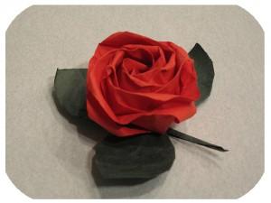 129646871_2ee97f8fb8 Kawasaki rose