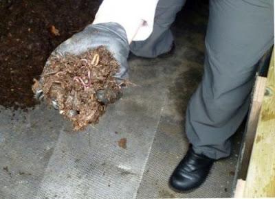 Bagno pubblico crea compost tramite vermi