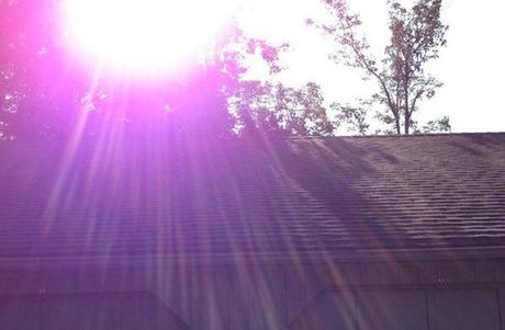 alone viola fotocamera iphone 5 Secondo Apple l’alone nelle foto di iPhone 5 non è un difetto