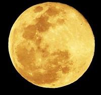 Luna di felicità luna-felicita