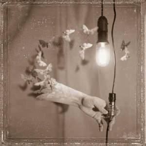 dmc_5 Da “Falene” – Eugenio Baroncelli