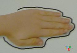 impronta ESERCIZI DI MANUALITA’ E TRASFORMAZIONE