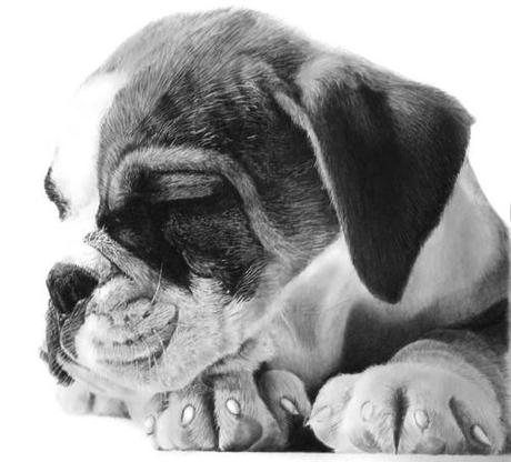 fantastapants:

Pencil drawings by Franco Clun. Seriously....