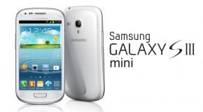 Samsung Galaxy S III mini - Logo