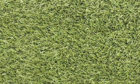 grass texture 