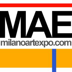 milano arte expo gallerie d'arte Roma