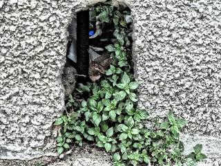 Once upon a time: Nuoro... Once upon a time: Nuoro...