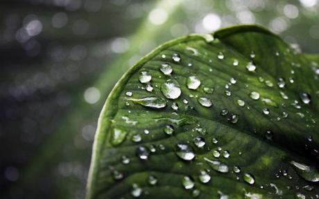 wallpaper-894088 10 Wallpapers per il tuo Android – Serie #1