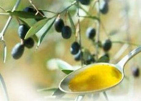 Sicilia e Puglia al top per la produzione di olio extravergine di oliva
