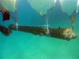 Nero d’Avola, mandorla pizzuta e ora anche una nave da guerra del XVIII secolo Nero d’Avola, mandorla pizzuta e ora anche una nave da guerra del XVIII secolo