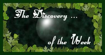 The Discovery Of The Week n°6