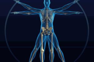 Hitler testò delle bombe atomiche Hitler testò delle bombe atomiche