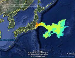 Il pesce di Fukushima contiene 258 volte il limite legale di Cesio radioattivo