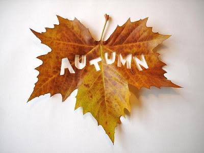 E' arrivato l'autunno...su Pinterest