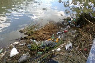 LUNGOTEVERE DEGLI ORRORI: ECCO A VOI L'AGGHIACCIANTE STATO DI DEGRADO IN CUI VERSA IL LUNGOFIUME ROMANO NEL BEL MEZZO DELLA CITTA' STORICA! ALLUCINANTE