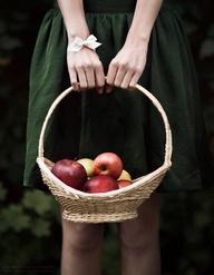 AUTUMN IS HERE AUTUMN IS HERE