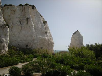 Gargano (d'a)mare...