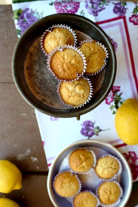 Contaminazioni da Ammaniti - Muffins al Limoncello