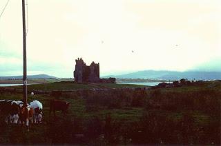 Irlanda, 1991
