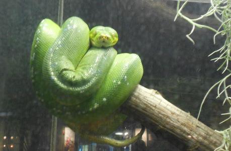 Acquario di Genova!!