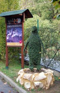 Gite a : lo zoo di Pistoia.