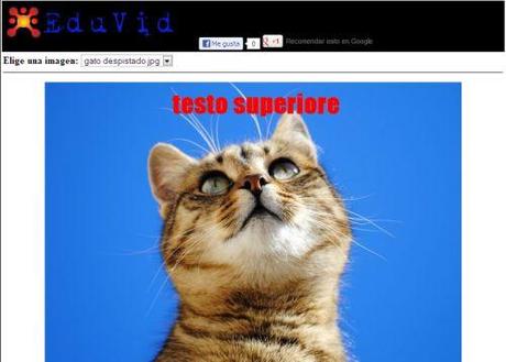 EduVid Meme Maker - generatore online di meme