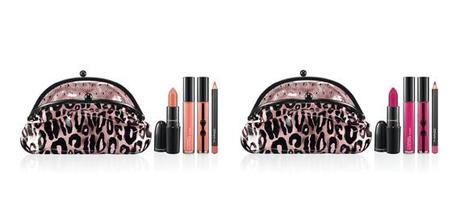 Adorable Holiday 2012 makeup collection and great gift sets