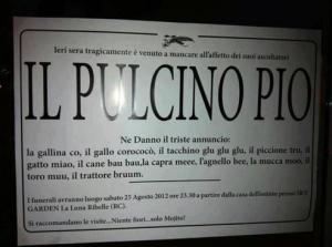 Pulcino Pio: parodie, schiaffi e supereroe