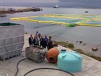 (Al)gas naturale (Al)gas naturale