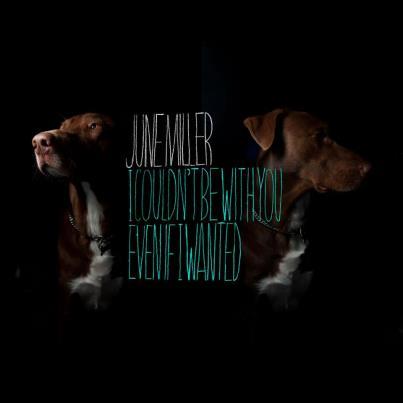 Divenere-the Snow Out Of Her Apartment Divenere-the Snow Out Of Her Apartment