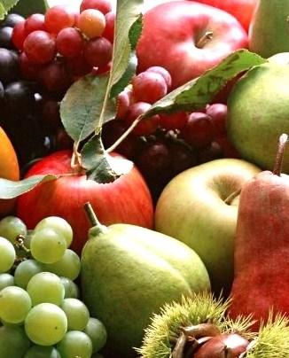 Frutta e Verdura di Stagione : La spesa di Novembre