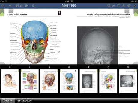 L’atlante di anatomia Netter in italiano per iPad