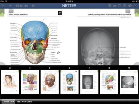 Atlante Di Anatomia Pdf