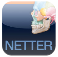 Netter iPad italiano