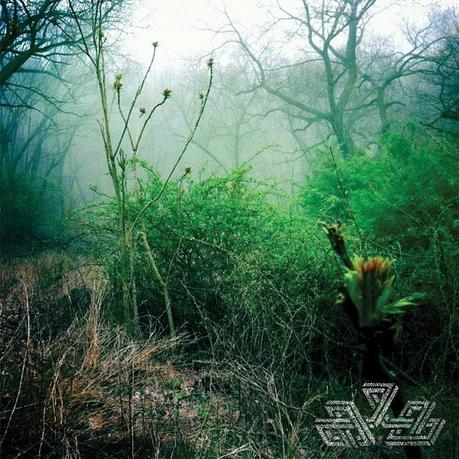 Check Your Swing Check Your Swing