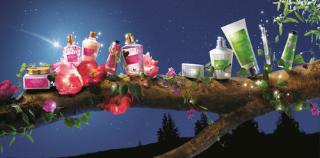PREVIEW L'OCCITANE: HOLIDAY 2012