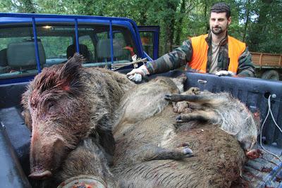 prima battuta di caccia al cinghiale, a Pierino