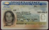 Patente di guida canadese: info tecniche e info ludiche :)