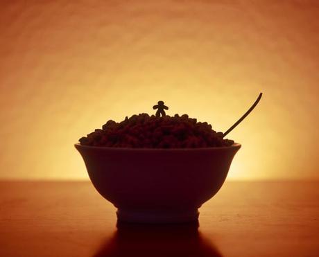 cereali-colazione-arte-fotografica-13-terapixel.jpg