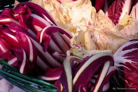 Radicchio  Treviso