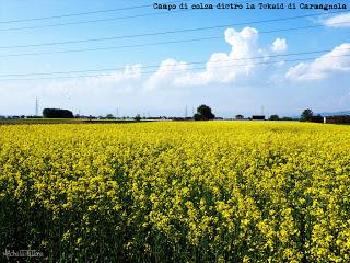 Villastellone: Anello N°1 Villastellone: Anello N°1