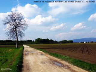 Villastellone: Anello N°1 Villastellone: Anello N°1